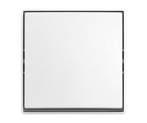 BUSCH JAEGER 2TKA00005521 2601/6 J-524 Wippschalter AP