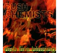 Bush Chemists - Dub Fire Blazing