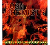 Bush Chemists - Dub Fire Blazing [Import]