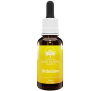 Bush Flower Essences Australian Ottimismo 30 ml