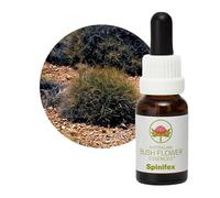 Bush Flower - Spinifex 15 ml -Essenza floreale