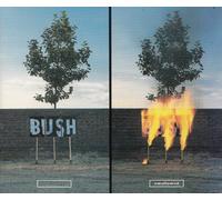 Bush - Swallowed