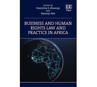 Business and Human Rights Law and Practice in Africa