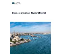 Business Dynamics Review of Egypt