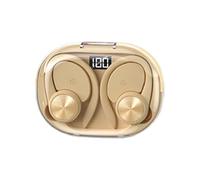Business Ear Buds - Real-Time Translation Earphones, Noise-Cancelling Headset, Multilingual Translation Earbuds | Wireless AI Translation Headphones, HD Sound Translating Earbuds for Valentine