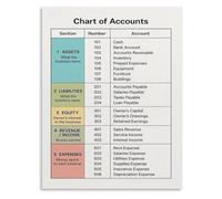 Business Learning Chart Of Accounts Template Poster | Classroom decor educational poster displaying accounts template(Unframed,12X18inch(30X45cm))