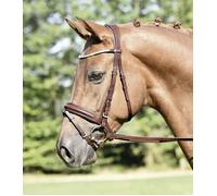 BUSSE Briglia MATERA Nocciola - Cob