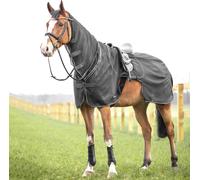 BUSSE Coperta da Passeggiata MOSKITO III - Grigio/Antracite - 165 cm