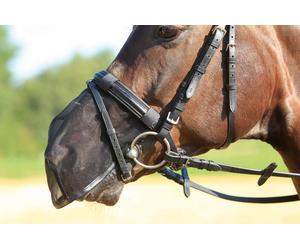 BUSSE Protezione per Froge FLY PROTECTOR - Pony di taglia grande/cob