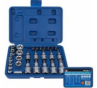 Bussola Torx Set Punte Uomo e Donna Prese 0.6cm 1cm 1.3cm Drive 29pc 01529