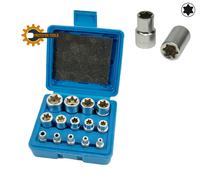 bussole SERIE E torx dalla E4 fino alla E24 , 14 pZ