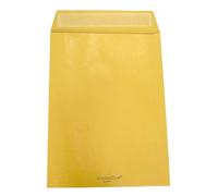 PIGNA CF500 BUSTE SACCO AVANA 23X33CM 065512533