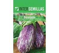 Busta di Semi Di Melanzana Qui Selezione IN Busta Originale Certificato