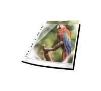 DURABLE 265502 - Buste per prospetti, A4, trasparenti, bianche, 25 pezzi