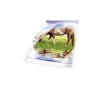 DURABLE 267719 - Buste per prospetti, A4, trasparenti, Premium, 50 pezzi