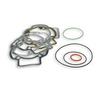 BUSTA GUARNIZIONI COMPLETA MALOSSI PER GRUPPO TERMICO PIAGGIO Ø 47,6 1113045B