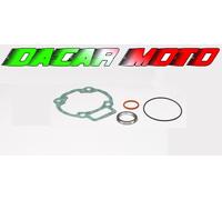 BUSTA guarnizioni GR.TERM. 65 ITALJET DRAGSTER 180 2T LC MALOSSI 118337