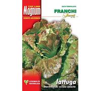 BUSTA MAGNUM SEMI DI LATTUGA CANASTA ORTO GIARDINO SEMI