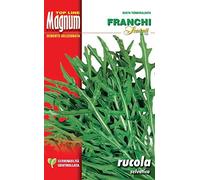 BUSTA MAGNUM SEMI DI RUCOLA SELVATICA ORTO GIARDINO SEMI
