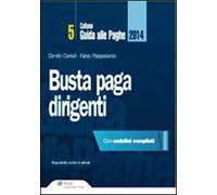 Busta paga. Dirigenti 2014