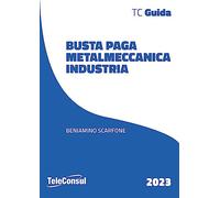 Busta paga. Metalmeccanici