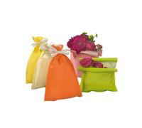 Busta regalo Spring - 25 x 40 cm - 45 gr - carta - 5 colori assortiti - PNP - co