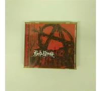 Busta Rhymes - Anarchy