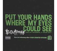 Busta Rhymes - Put Your Hands Where My Eyes Could See