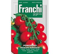 BUSTA SEMI DI POMODORO PRINCIPE BORGHESE FRANCHI SEMENTI
