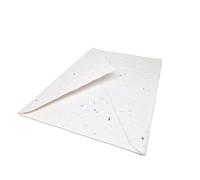 Buste formato C6 per piante, confezione da 10, buste con semi di fiori selvatici