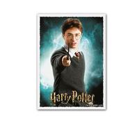 Buste protettive opache per biglietti di dimensioni standard di qualità Scudo de