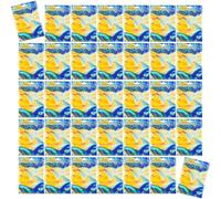 Buste richiudibili olografiche multiuso Soluzione di imballaggio sicuro per oggetti da collezione e cosmetici multicolori a chiusura lampo