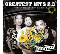 Busted Greatest Hits 2.0: Another Present for Everyone (Vinyl LP)