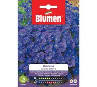 BUSTINA CON SEMI DI AUBRETIA CASCATA AZZURRA