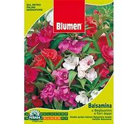 BUSTINA CON SEMI DI BALSAMINA O BEGLIUOMINI A FIORI DOPPI BLUMEN (M)