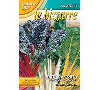 BUSTINA MISCUGLIO DI BIETA DA COSTA COLORATE ORTO GIARDINO SEMI