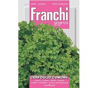 BUSTINA SEMI DI CERFOGLIO COMUNE ORTO GIARDINO SEMI