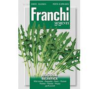 BUSTINA SEMI DI RUCOLA SELVATICA ORTO GIARDINO SEMI