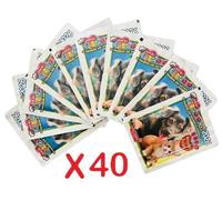 BUSTINE DI FIGURINE AMICI CUCCIOLOTTI 2026