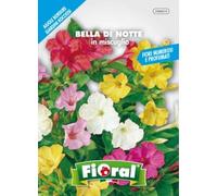 Bustine per uso hobbystico di sementi per la produzione di fiori, piante da orto e piante aromatiche (Bella di notte in miscuglio)