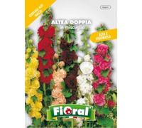 Bustine per uso hobbystico di sementi per la produzione di fiori, piante da orto e piante aromatiche (Altea doppia in miscuglio)