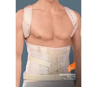 Busto Taylor II Dorso Lombare Roten