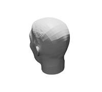 Busto Testa Freddie Mercury Scultura Figura per Esposizione Stampato 3D