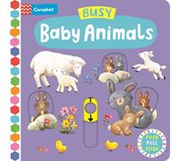 Busy Baby Animals: A Push, Pull, Slide Book