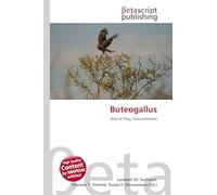 Buteogallus: Bird of Prey, Falconiformes