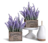 Butterfly Craze Piante di lavanda artificiali in legno rustico, realistiche, splendidi fiori viola in finta seta, perfetti per elevare il patio, l'arredamento della casa o l'ufficio (set di due),