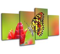 Butterfly Flowers Animals MULTI TELA parete arte foto stampa