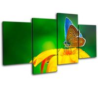 Butterfly Flowers Animals MULTI TELA parete arte foto stampa