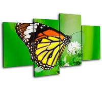Butterfly Flowers Animals MULTI TELA parete arte foto stampa