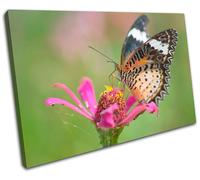 Butterfly Flowers Animals SINGLE TELA parete arte foto stampa